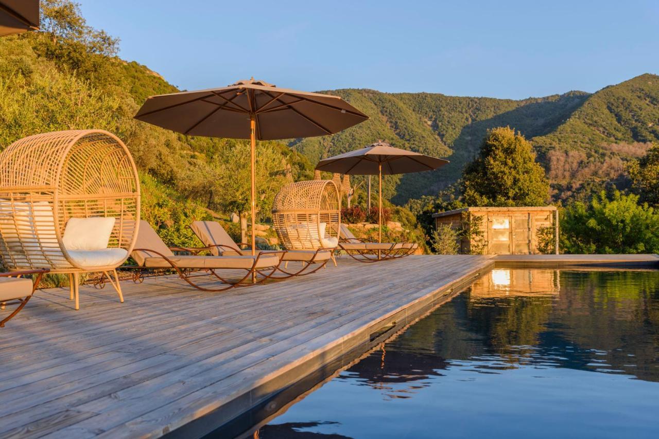 Terre De Maquis, Maison D'Hotes Vue Mer Corse Sari-D'orcino エクステリア 写真