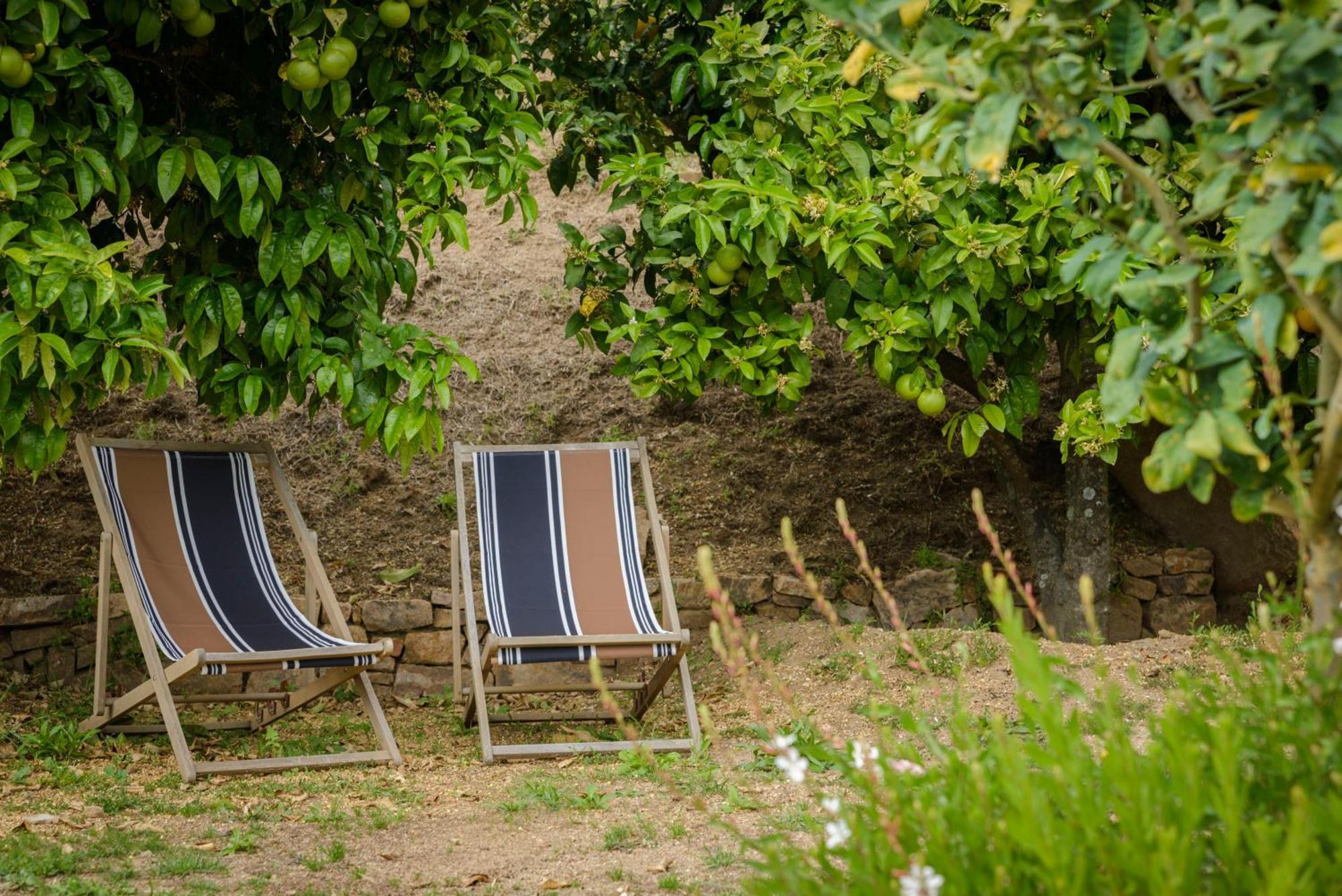 Terre De Maquis, Maison D'Hotes Vue Mer Corse Sari-D'orcino エクステリア 写真